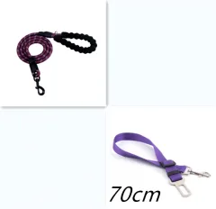 Reflective Dog Leash Nylon Pet Dog Leash Rope For Small Medium Large Dogs Walking Training Pet Suppiles - Purple Set - View 1