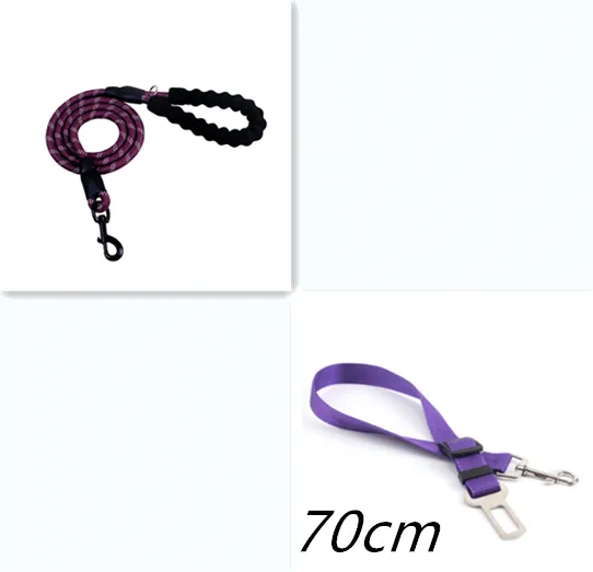 Reflective Dog Leash Nylon Pet Dog Leash Rope For Small Medium Large Dogs Walking Training Pet Suppiles Purple Set - Shop at LoveMi