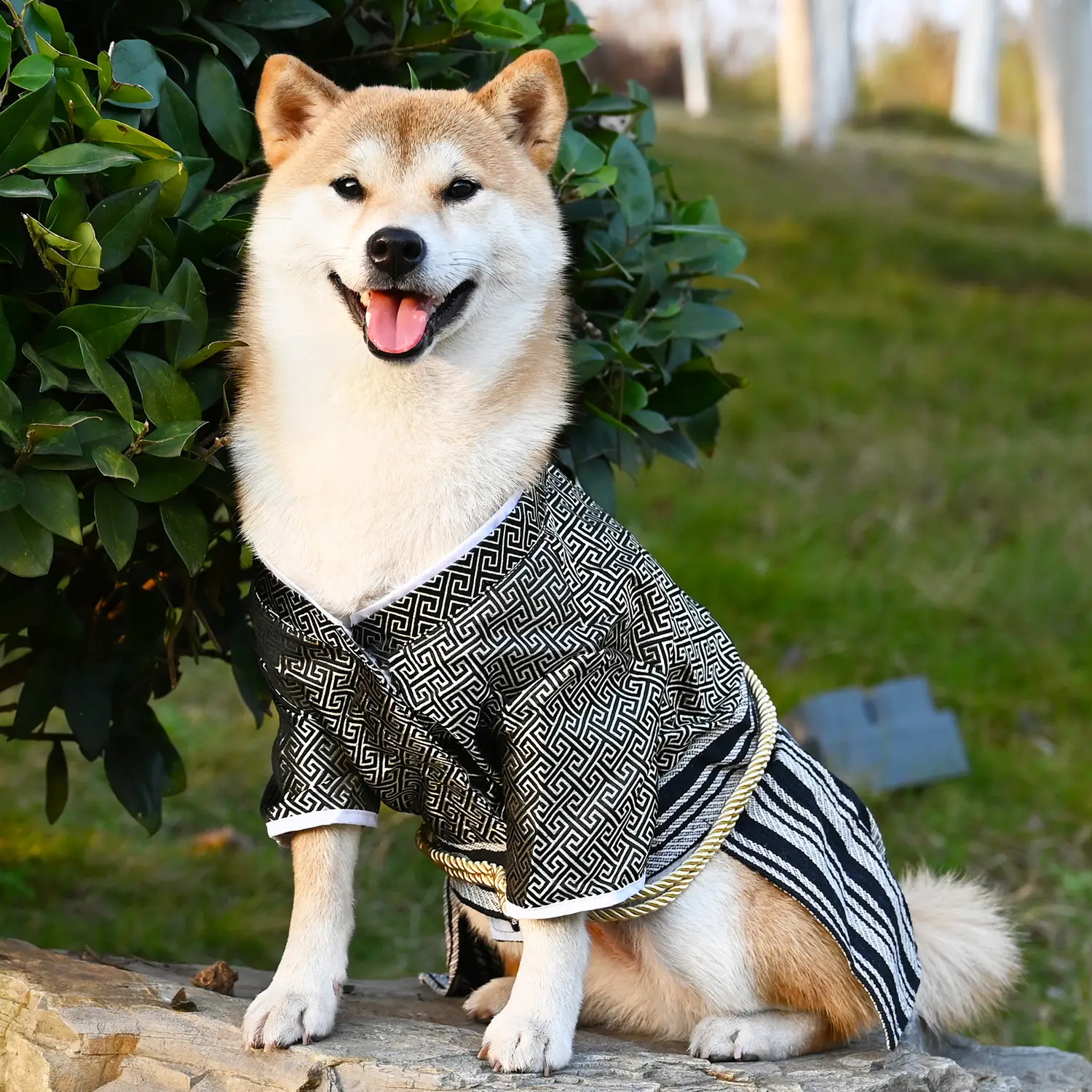 Japanese Style Samurai Costume for Dogs and Cats