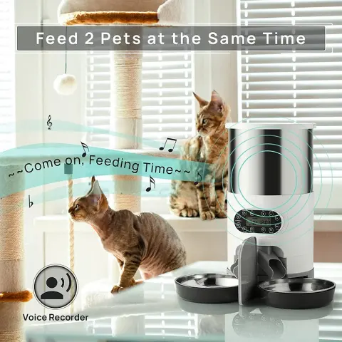 Automatic Chqiue Pet Feeder