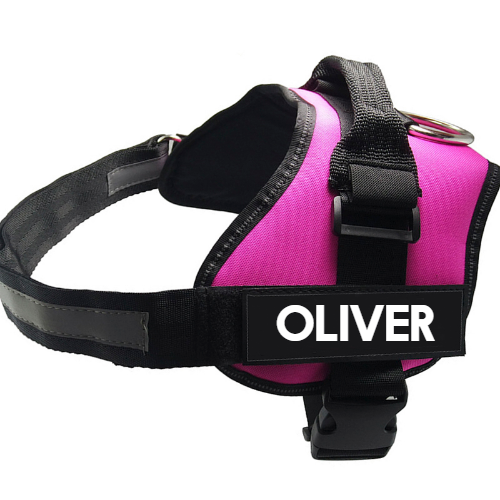 Small Pet Double Sticky Fly Bowl