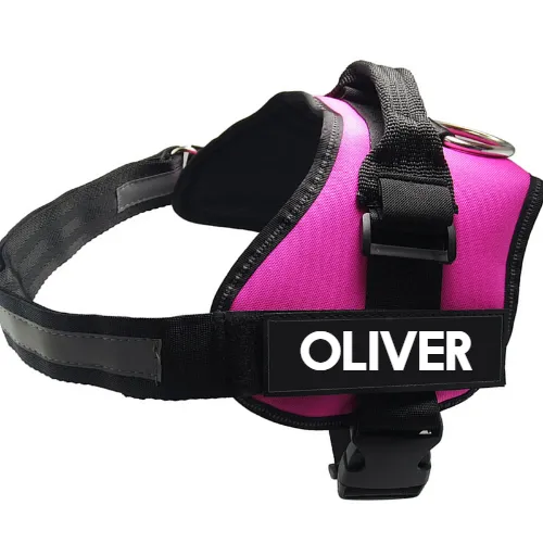 Pet Chest Harness Dog Leash Pet Supplies Red - Shop at LoveMi