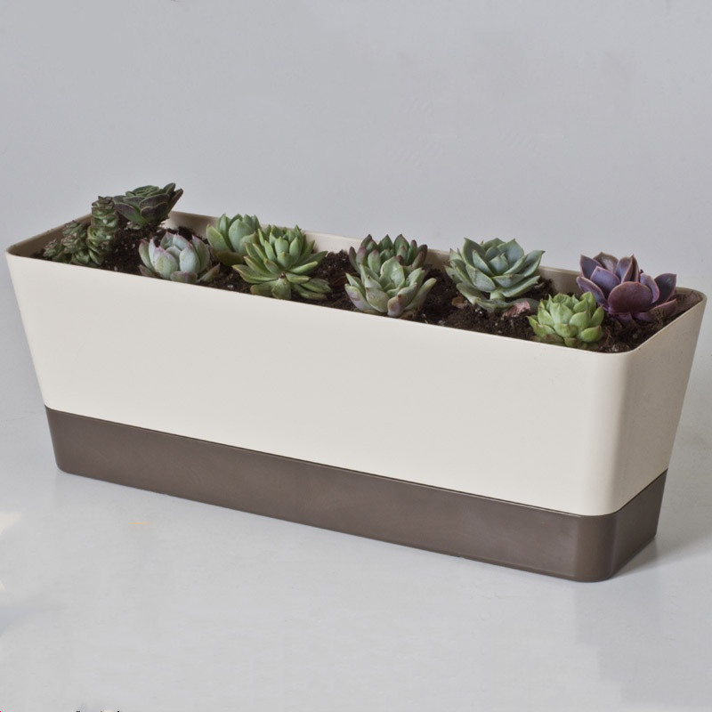 Title 1, Succulent flower pot with tray