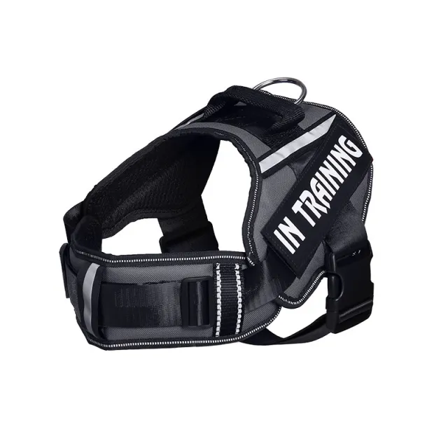 Reflective Dog Leash For Chest Harness Customization Black - Shop at LoveMi