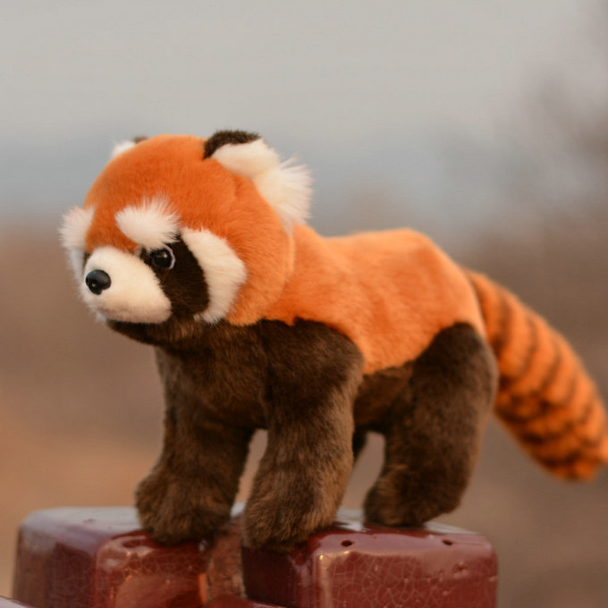 Red Panda