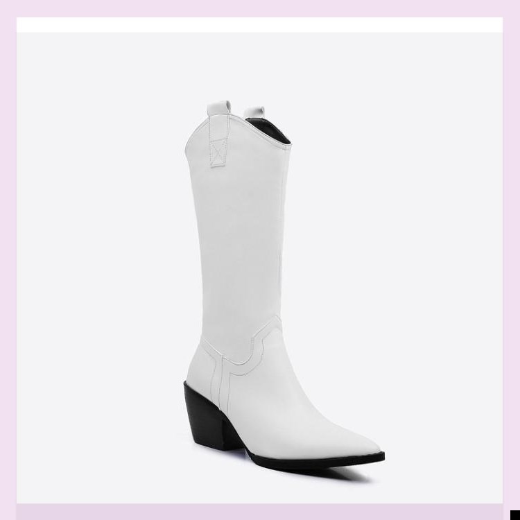 Title 5, Pointed toe thick heel high boots