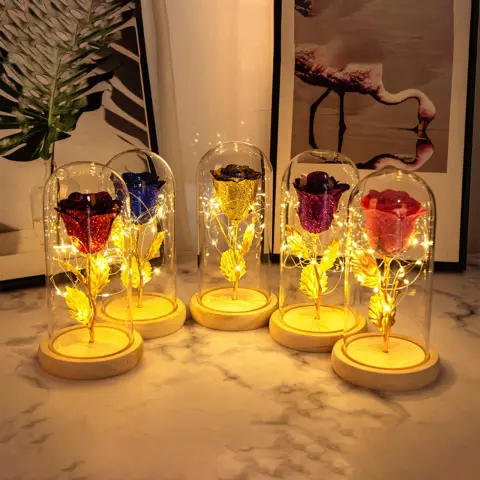 Valentines Day Gift for Girlfriend Eternal Rose Flowers LED