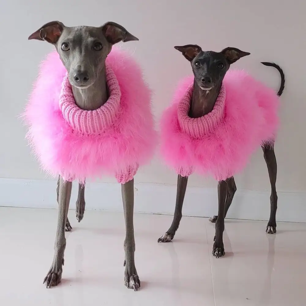 Lady Turkey Feather Warm Autumn and Winter Luxury Dog