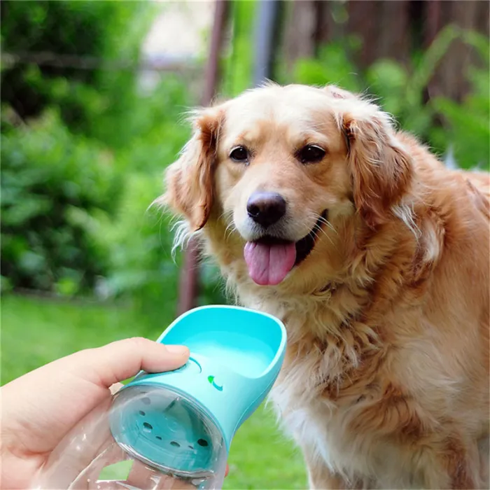 Bouteille d'eau nomade pour chien et chat