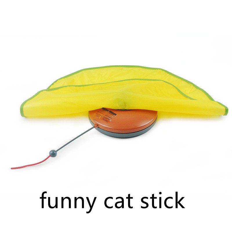 Funny cat stick