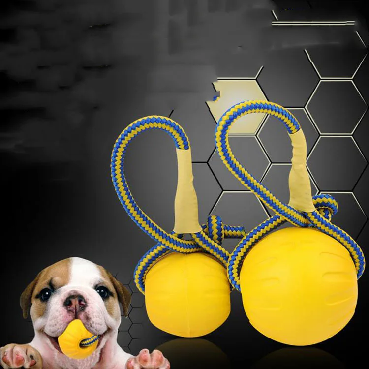 EVA Floating Pet Dog Training Ball Puppy Bite Resistant