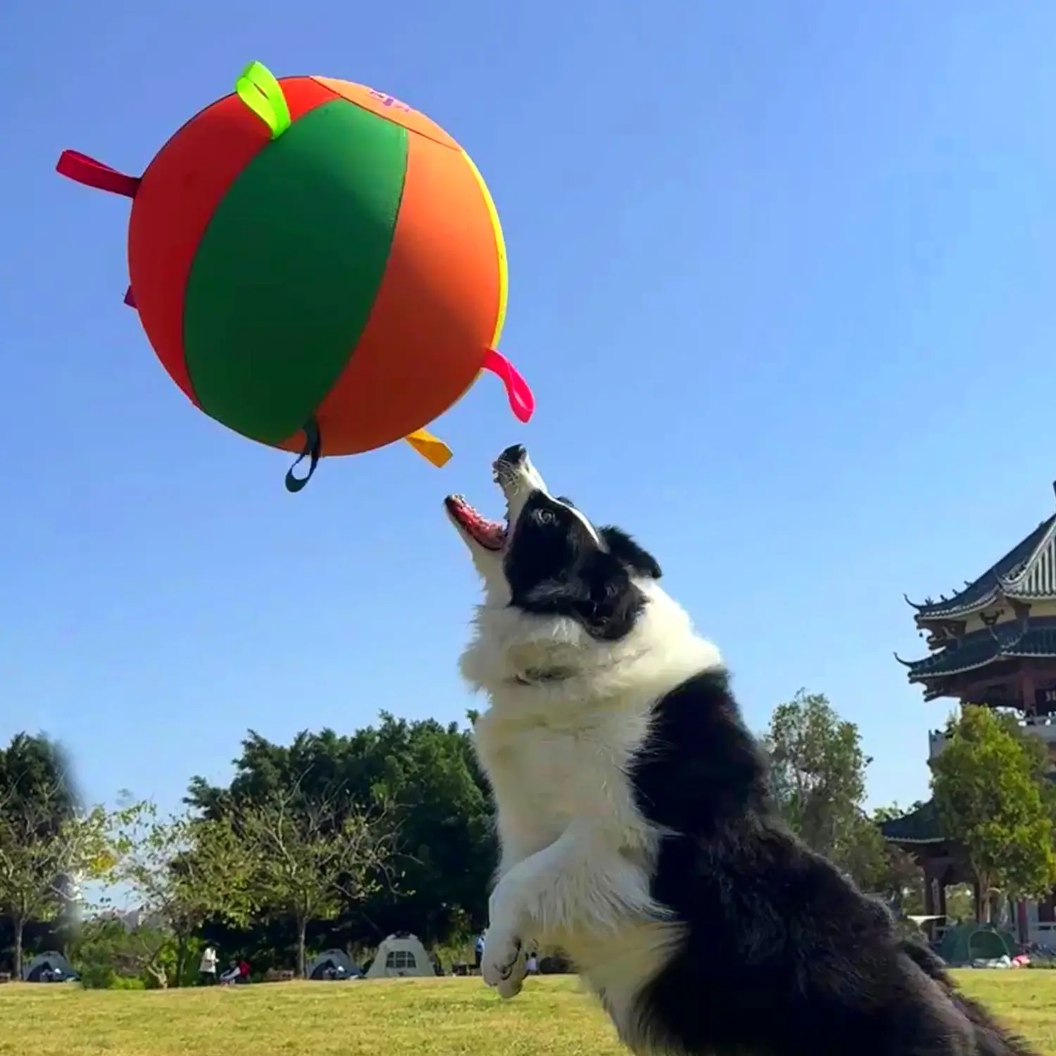 Colorful Inflatable Dog Toy Ball, Self-Play Training