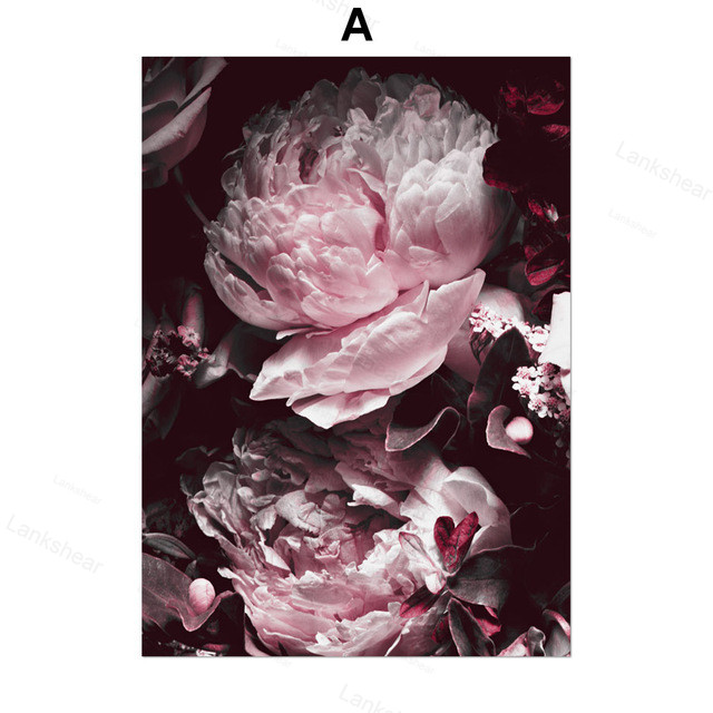 Botanical Peony Study Collection