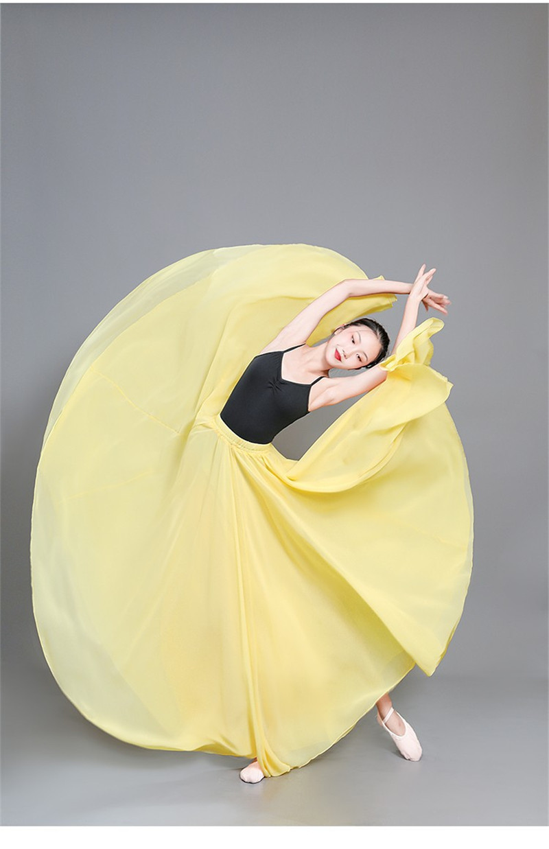 Classical Dance Costume Female Elegant Performance Costume Half-length Skirt