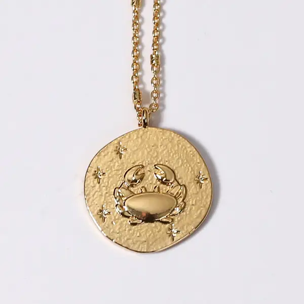 Retro Twelve Constellation Medal Coin Necklace