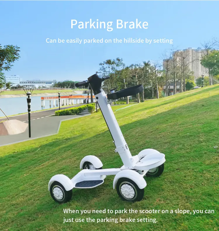 Four Wheel Golf Electric Folding Light Longboard