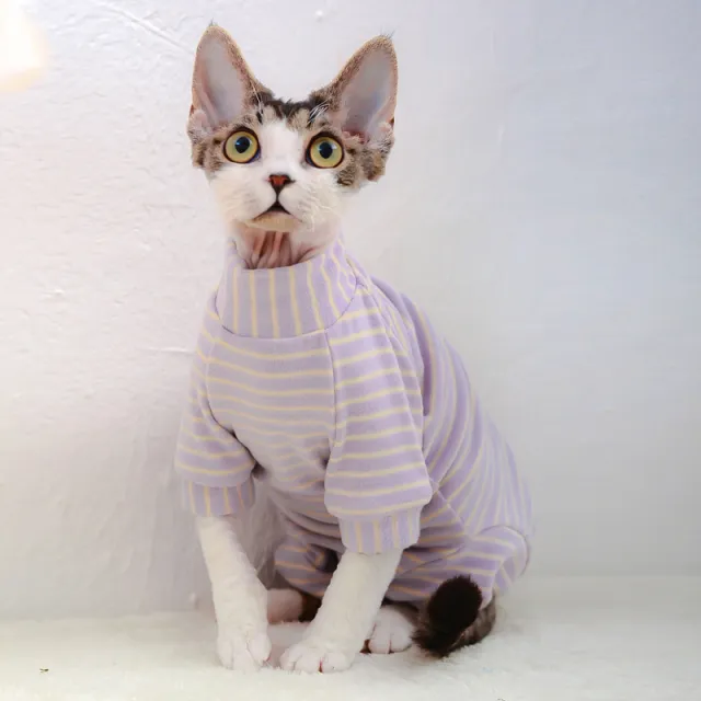 Derong Tummy Protection Four leg Sweater Orchid Apricot Stripe - Shop at LoveMi