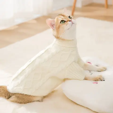 Knit Sweater Kitty Autumn and Winter Warm Two-legged Clothes