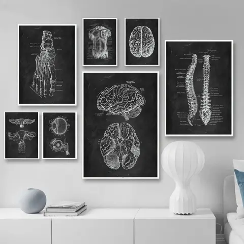 Canvas Painting of Human Anatomy Skeleton Organ System