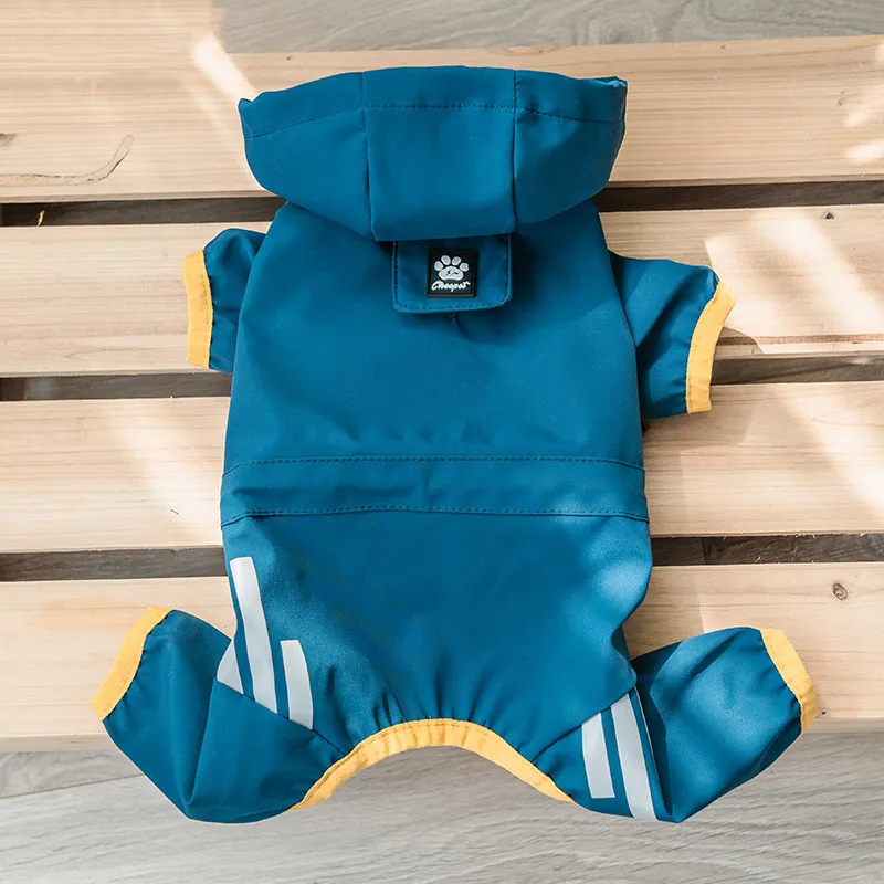 Teddy Schnauzer Bichon Poncho - Blue
