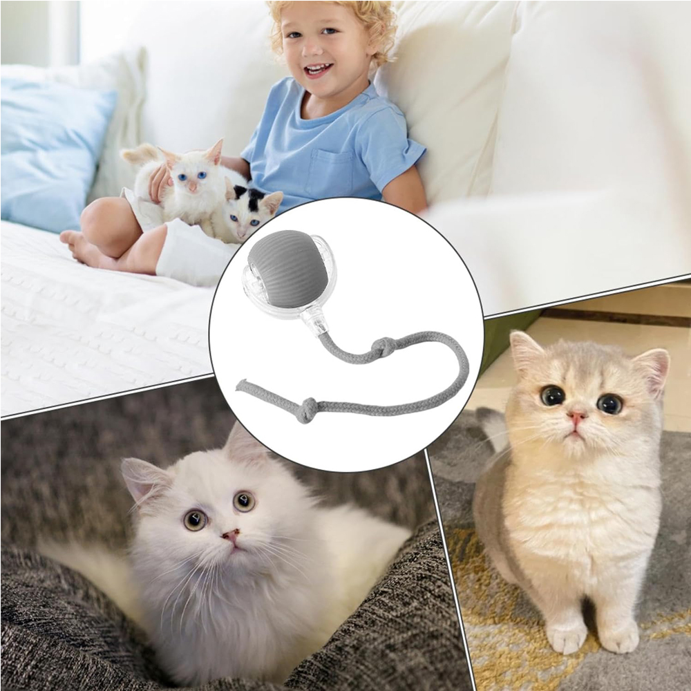 Interactive Rolling Cat Ball