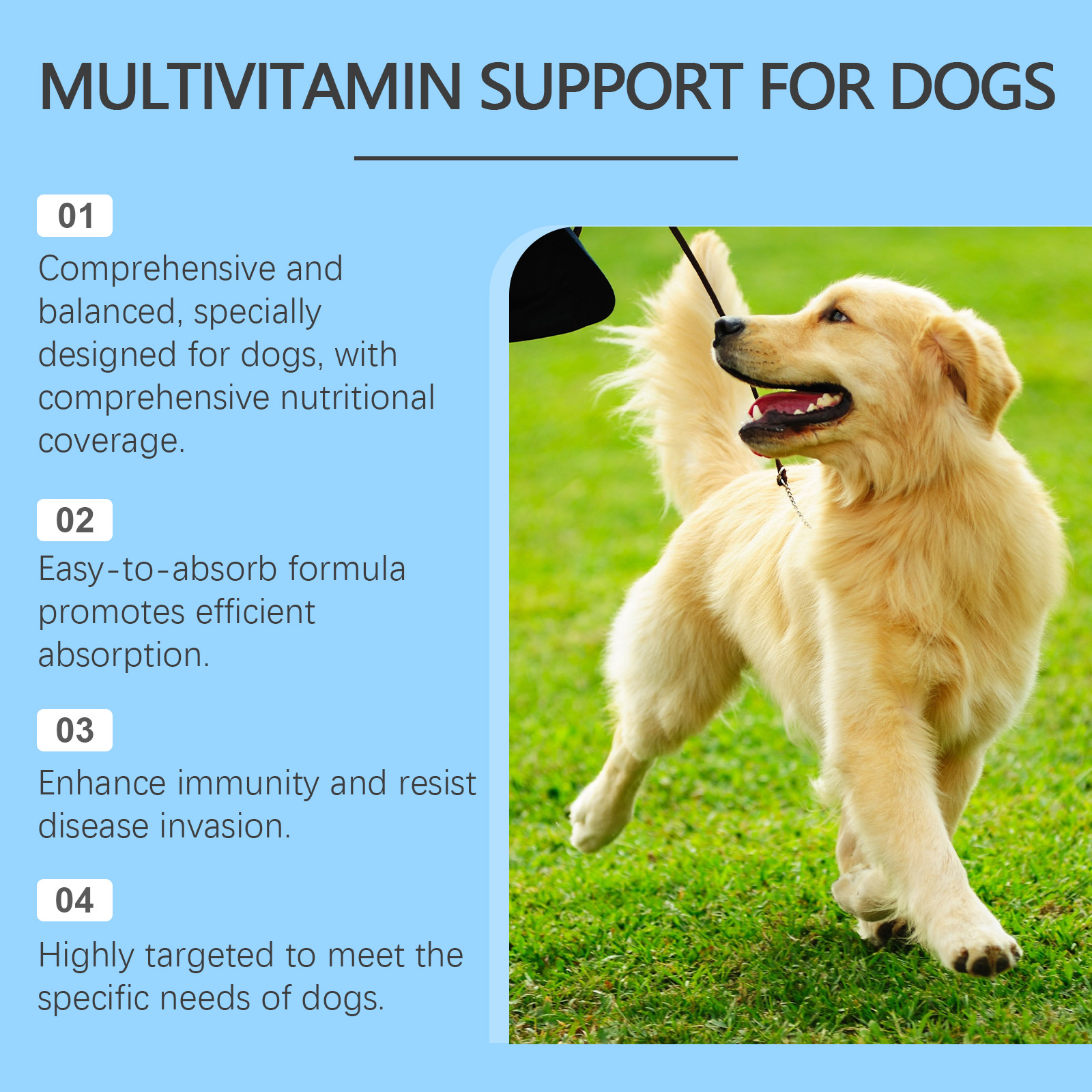 Dog Multivitamin Tablets, Daily Nutritional Supplement For Dogs, Supports Skin Coat, Joint, Digestion, Immune & Vision Health, 80 Chewable Tablets — foto 11