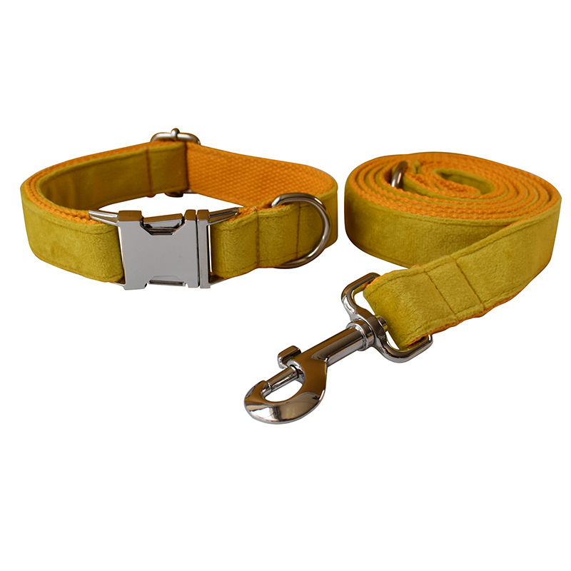 Dog collar dog leash set