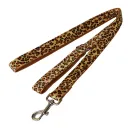 Dog Rope