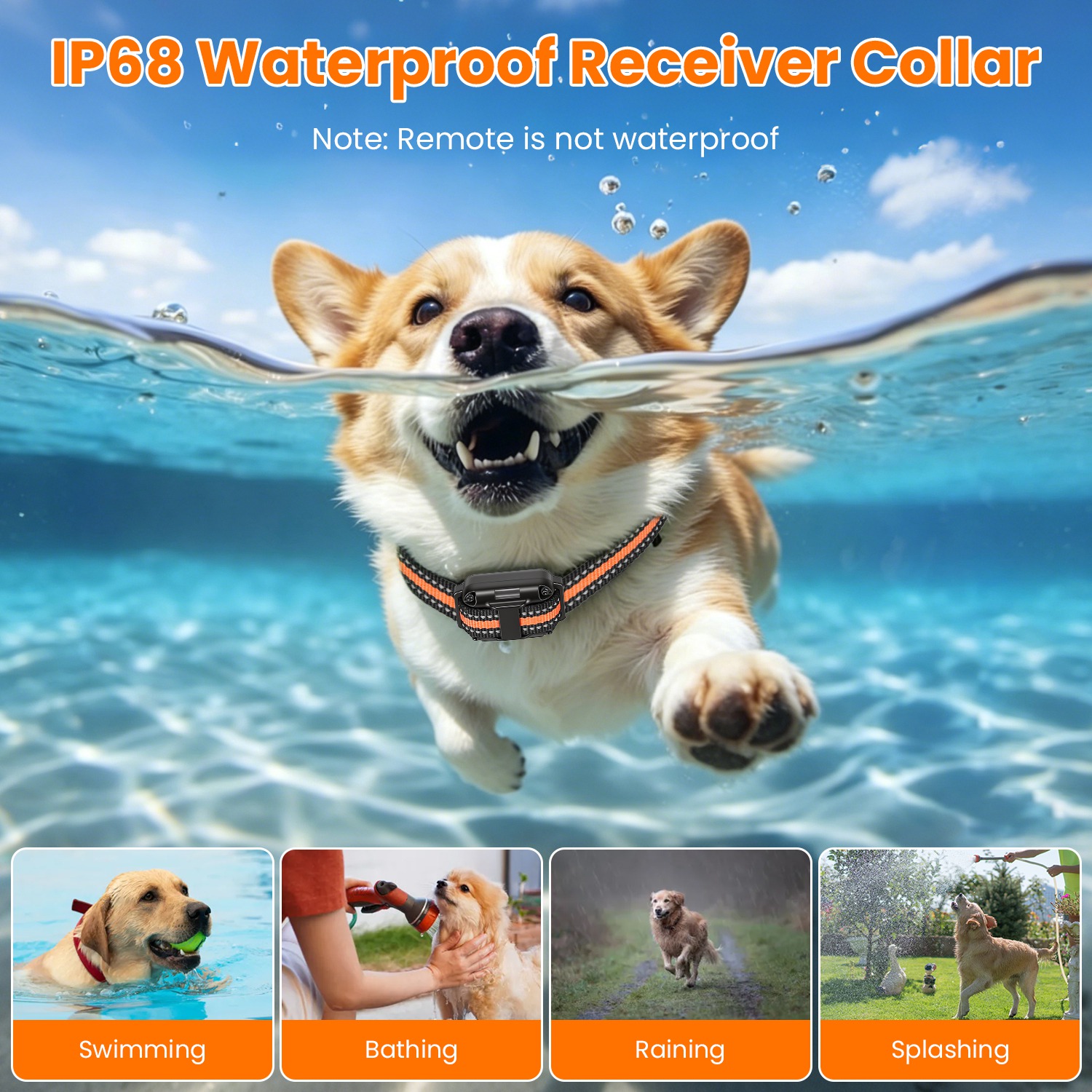 Dog Training Collar With Remote — foto 13