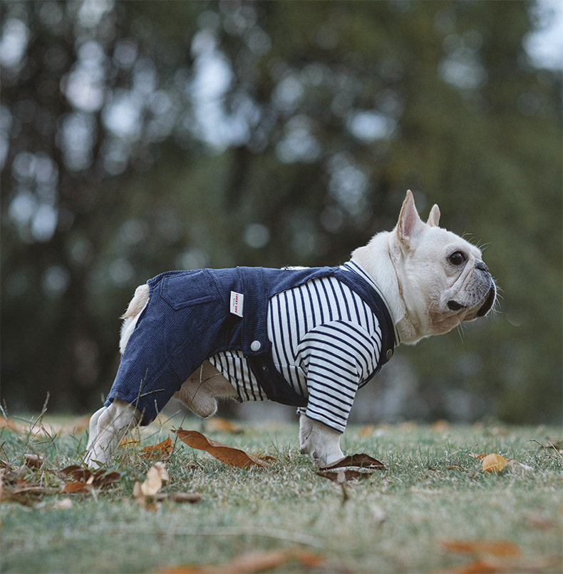 Navy blue overalls