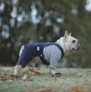Navy Blue Overalls