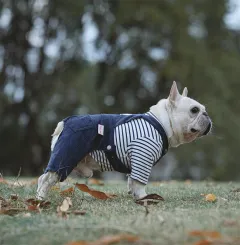 Cotton Stretch Four-legged Cat And Dog Clothes Autumn And Winter One-piece Four-leg Suspenders - Navy Blue Overalls - View 1