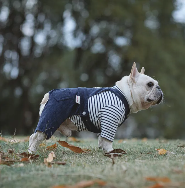 Cotton Stretch Four legged Cat And Dog Clothes Autumn And Winter One piece Four leg Suspenders Navy Blue Overalls - Shop at LoveMi