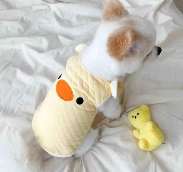 Pet Quilted Clothes Autumn And Winter Clothes Teddy Yellow - Shop at LoveMi