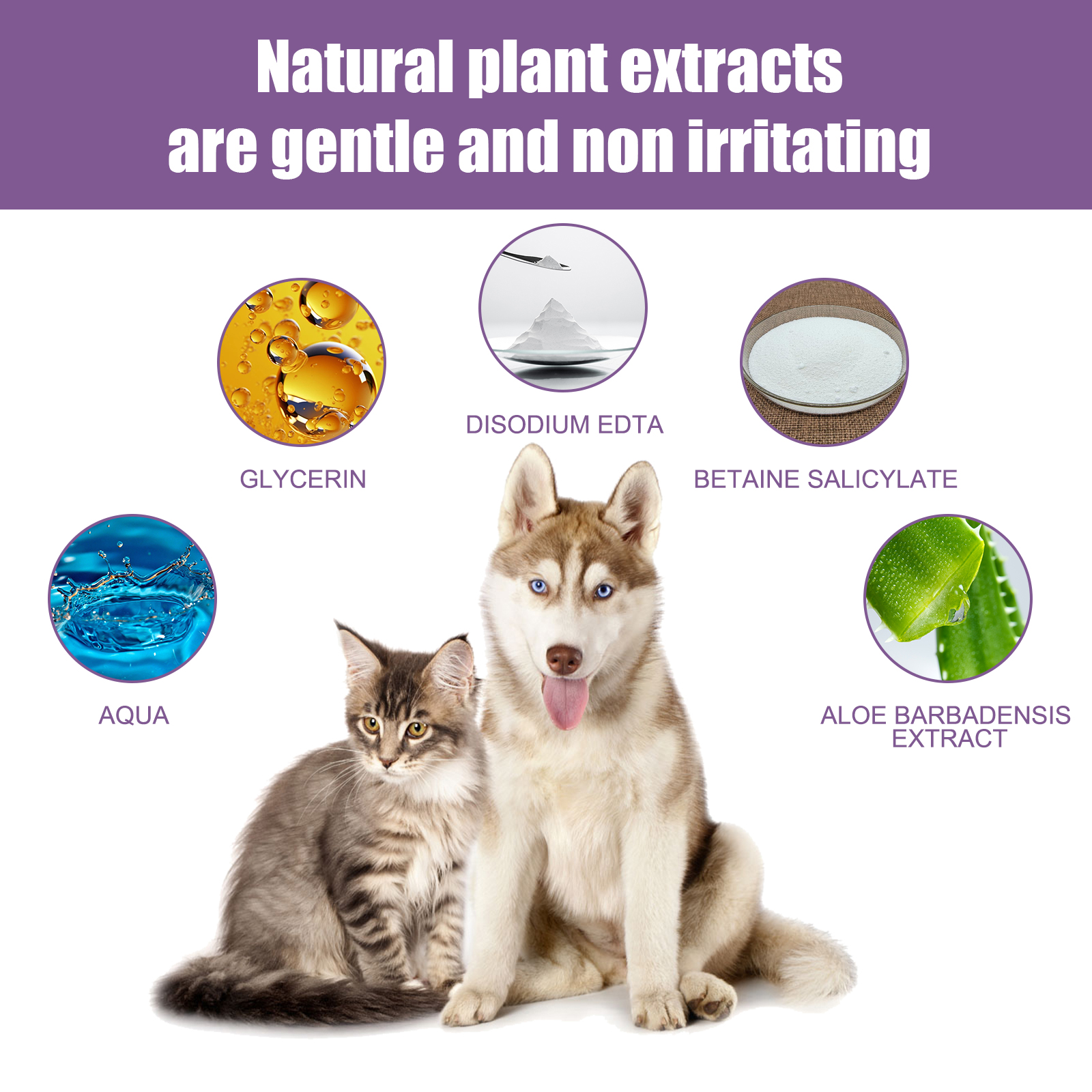 118ml Pet Ear Rinse Cleaner With Glycerin & Disodium EDTA, Anti-Itch Antimicrobial Ear Wash For Dogs Cats, Alcohol-Free Gentle Ear Cleanser With Cotton Swabs — foto 4