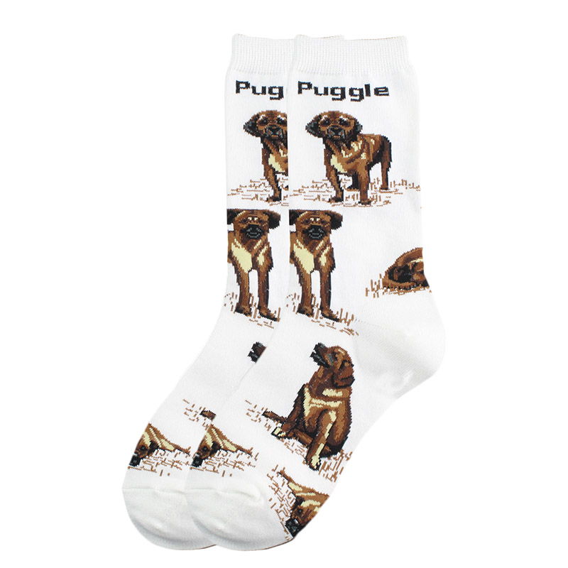 Title 13, New Cute Animal Socks Trend