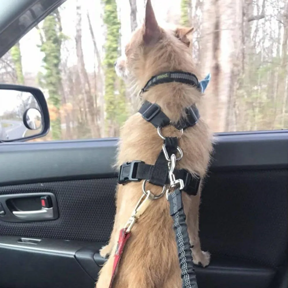 Adjustable Dog Seat Belt Dog Car Seatbelt Harness Leads Elastic Reflective Safety Rope – image 9