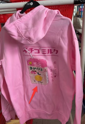 winter new women's soft sister wind ins sweater plus velvet thick printed loose shirt students