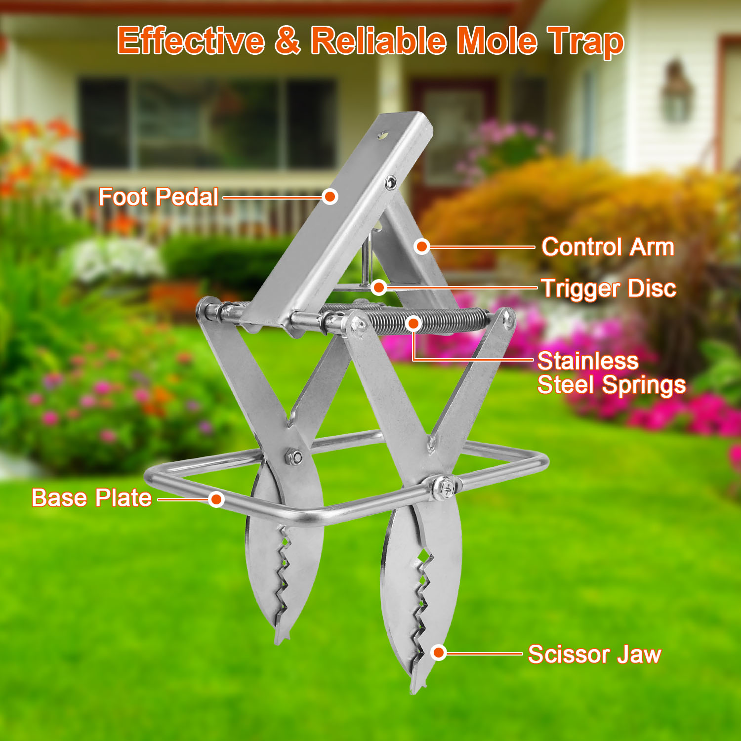 2PCS Easy Setup Mole Scissor Traps Outdoor Reusable Mole Rodent Control Trap Solid Metal Material For Lawn Garden Yard Pro Type
