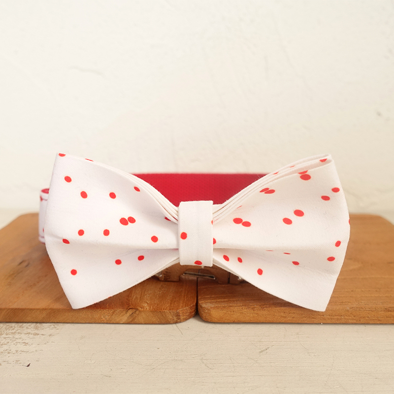 New Cat And Dog Collar, Self designed And Adjustable Pet Collar Ribbon - Shop at LoveMi