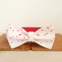 Ribbon