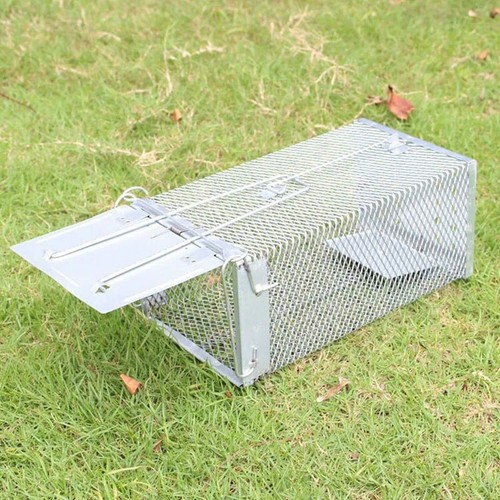 Humane Rat Trap Cage Live Animal Catch Pest Rodent Mice Mouse Bait Control Box 7