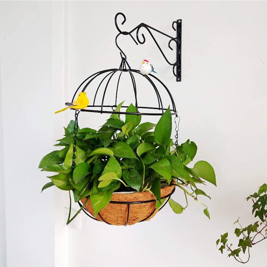 6622bd64 Fc61 495b 9dcf 5be21a0e0a6d