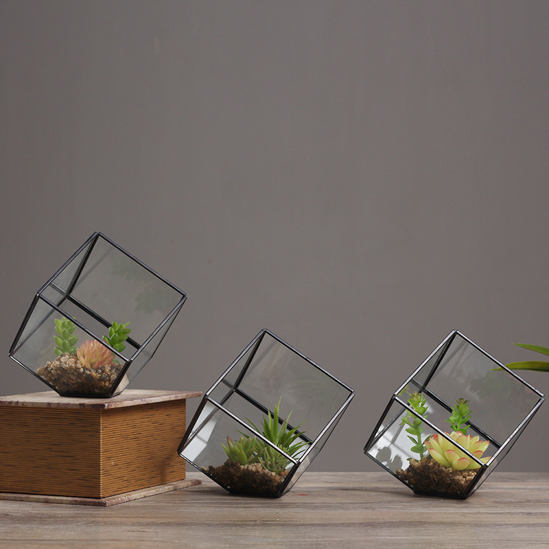 Glass Square Greenhouse Planter, picture 4 of 4