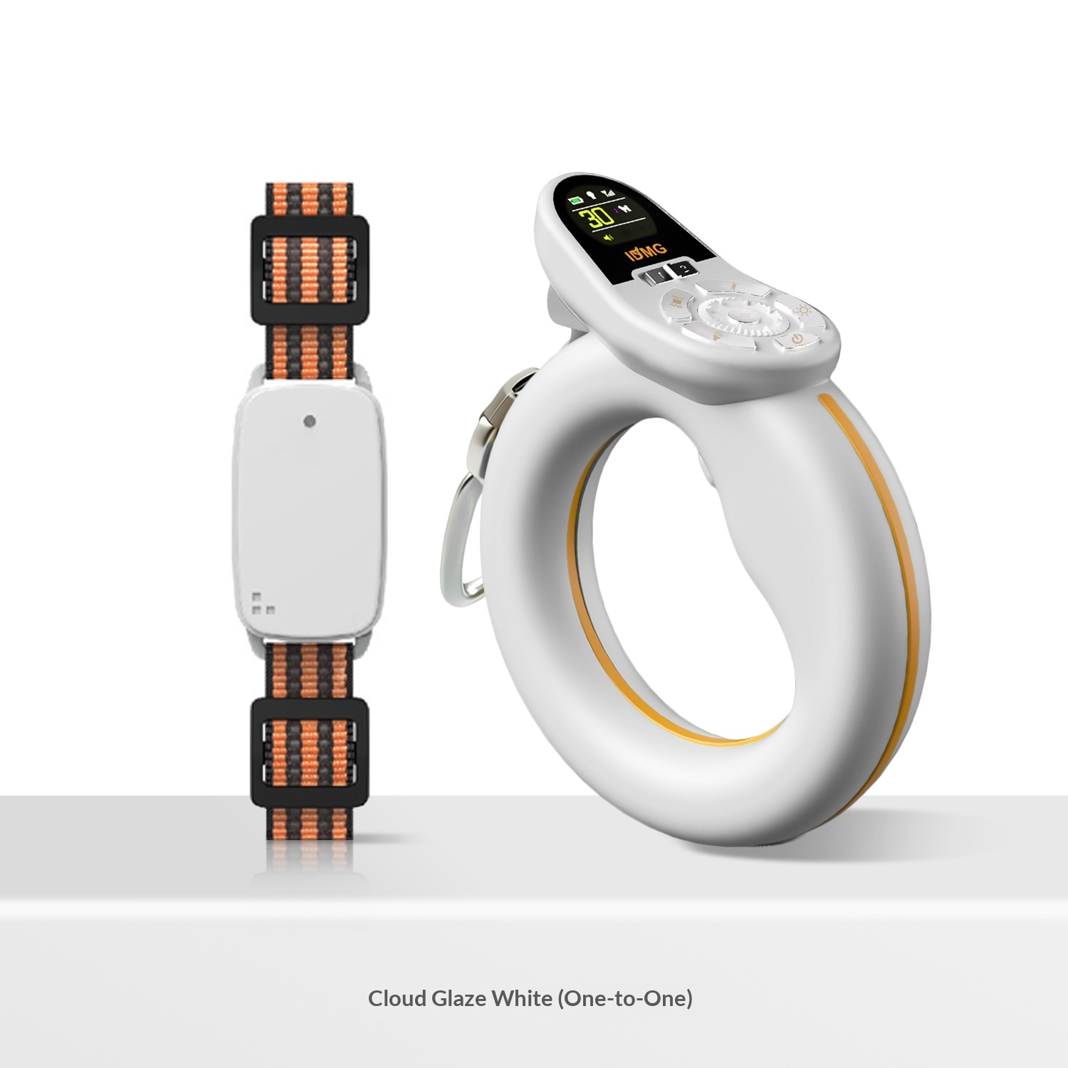 Smart Control Leash