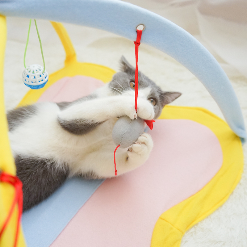 Playful Cat with Funny Cat Stick Toy Set