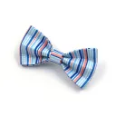 Ribbon