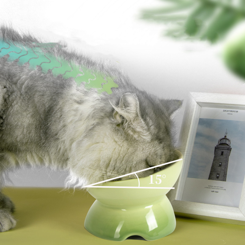 ["猫碗陶瓷猫咪粮食盆保护颈椎防打翻高脚斜口大口径防漏水宠物用品","猫碗陶瓷猫咪粮食盆保护颈椎防打翻高脚斜口大口径防漏水宠物用品","陶瓷碗"]