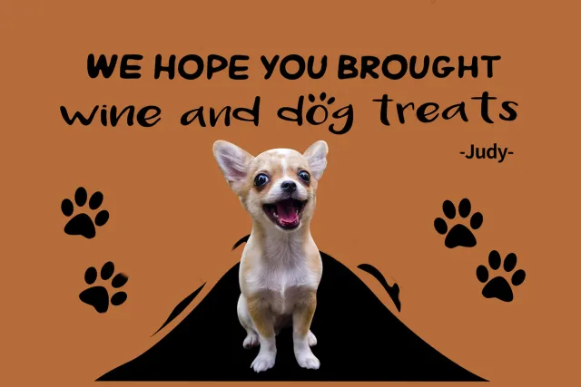 Personal Name Pet Cat And Dog Rug - Shop at LoveMi
