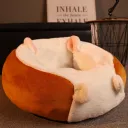 Corgi Ass